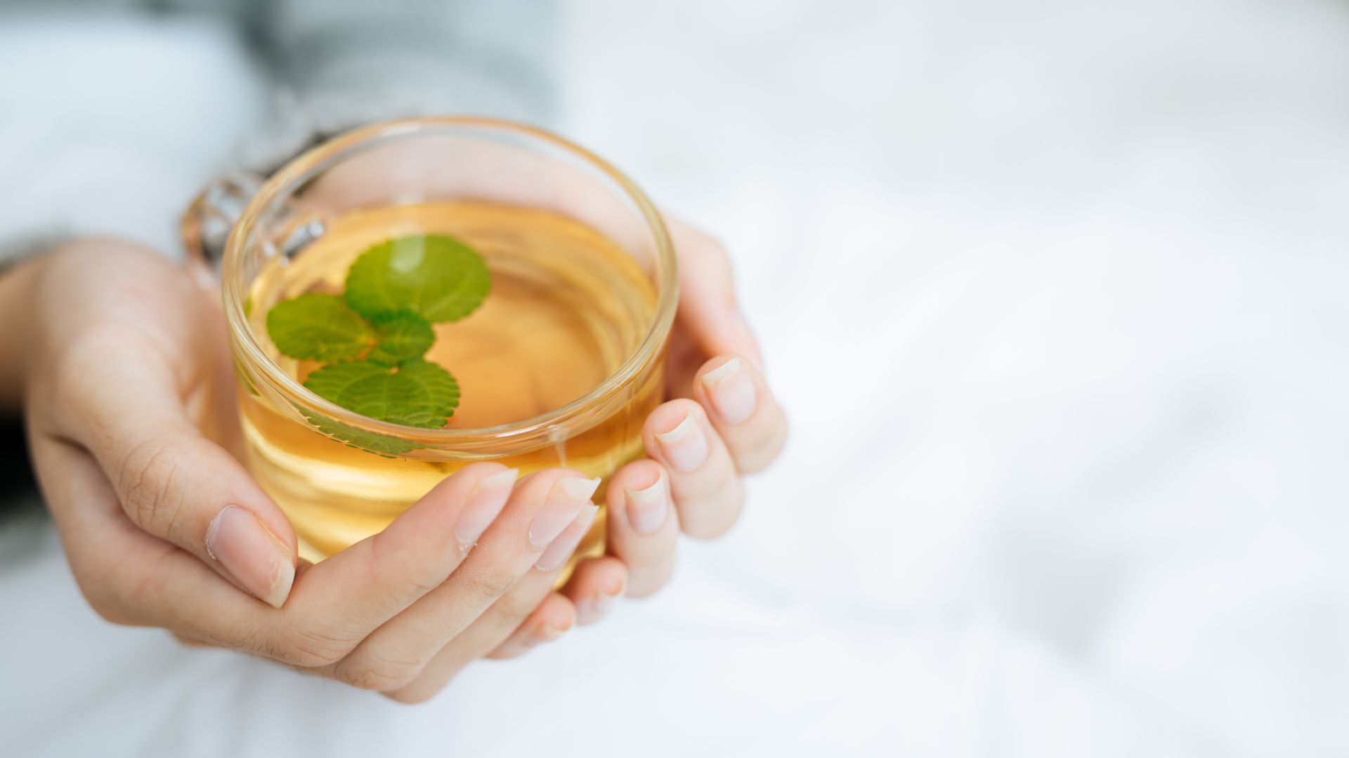 芳香蒸留水WSプランイメージ